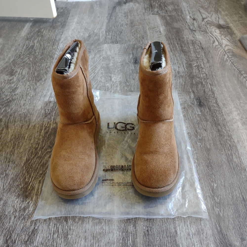 Ugg Boots Chesnut